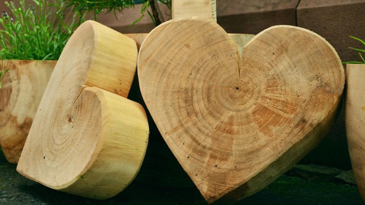 Warsztaty rzeźbiarskie – Drewno materiał doskonały
