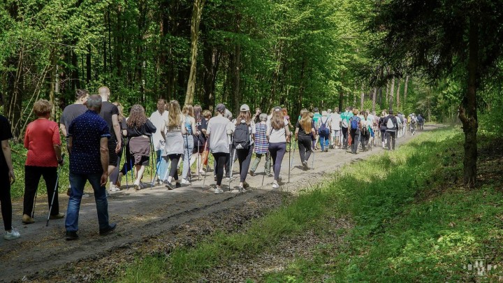 Marsz Nordic Walking studentów UTW